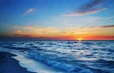 一个故事告诉你“诚信”有多重要!